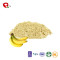 TTN Wholesale manufacturers 100%  Vacuum Freeze Dried Banana