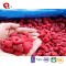 TTN Chinese Fruit Frozen Raspberry In Bulk Packing For Sale