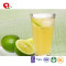 TTN High Quality Sweet Freeze Dried Lemon/ Freeze Dried Lemon Slice in Bulk