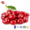 TTN Healthy Fruit Freeze Dried Sour Cherries Tart Cherry