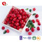 TTN Supplier Wholesale FD Dried Fruits Price Dried Cranberry