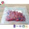 TTN Supplier Wholesale FD Dried Fruits Price Dried Cranberry