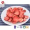 TTN Sale Freeze Dried Strawberry Flakes Strawberry Benefits