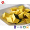 TTN Items For Sale In Bulk FD Vegetable Freeze Dried Pumpkin
