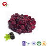 TTN Factory Direct Sale Dried Blackberry With Blackberry Vitamin
