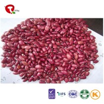 TTN 2018 New Crop White Red Kidney Bean