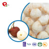 TTN  Factory Direct Freeze Dried Lychee