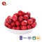 TTN Supplier FD Dried Fruits Price Dried Cranberry