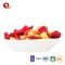 TTN Supplier FD Dried Fruits Price Dried Cranberry