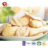 TTN Direct Factory Wholesale Non-GMO Freeze Dried Jackfruit