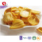 TTN Wholesale Price Good Quality  Freeze Dried Jackfruit