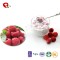 TTN Export China Products FD Dried Fruits Freeze Dried Raspberry Dried Raspberries
