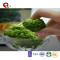 TTN Wholesales Dried Fresh White Bulk Broccoli Vegetables Seed Price