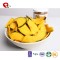 TTN 2018 Chinese High Quality Vacuum Fried Pumpkin Vegetable