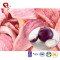 TTN Wholesale Vacuum Fried Onions Vegetables Quality Assurance