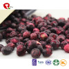 TTN Chinese Dried Blueberry  Bulk Dried Blueberries  Extract For Sale In Good Price