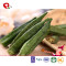 TTN 2018 Hot Sale Dried Okra Chips For Okra Calories Powder