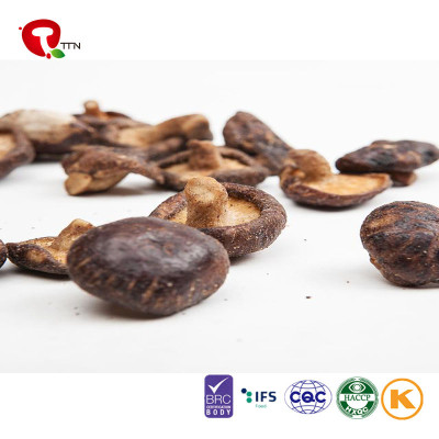 TTN Dried Agaricus Bisporus With Good Quality