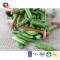 TTN  Wholesale Green Beans Calories With Green Beans Nutrition