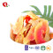TTN Factory Sale Organic Freeze Dried Papaya Powder
