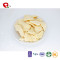 TTN  Hot Sale 2018 Vacuum Fried Apple Chips Cheap Price