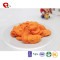TTN 2018 Hot Sale Vacuum Fried Carrot Health Quality Gold Supplier