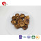 TTN 2018 Hot Sell Vacuum Fried Bulk Mushroom Chocolate