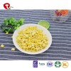 TTN  Freeze Dried Corn Where To Buy  Corn Powder