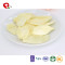 TTN  Factory Direct Sale Onion Powder Prices Nutrition