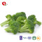 TTN Wholesale Vacuum Fried Crispy Green Broccoli