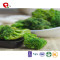 TTN 2018 New Product Wholesale Sale Of Vacuum Fried Broccoli Vegetable