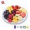 TTN Mix Freeze Dried Fruit For Sale
