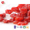 TTN Sale Buy Dried Cherries From China  Suppliers