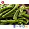 TTN  Wholesale Sale All Vegetables Of Vacuum Fried Green Beans