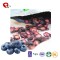 TTN Wholesale Freeze Dried Sugar Free Blueberry Bulk From China