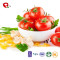 TTN Wholesale Freeze Dried Tomato Vegetable Chips
