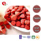 TTN Wholesale  Cheap Price Vacuum Fried Sugar Free Strawberry Chips
