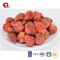 TTN  Lowest Prices In Wholesale Market Vacuum Fried Strawberry