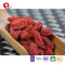 TTN Wholesale Sales Freeze Dried Goji