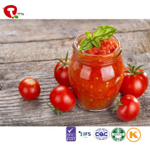 TTN Hot Sales Natural health Red Tomato Sauce