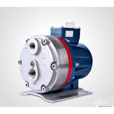 Single-Diaphragm Plunger Pump | PLUNGER DIAPHRAGM PUMP FOR SALE| industrial pump