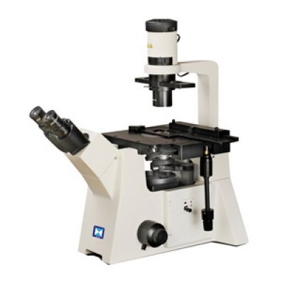 Inverted Biological Microscope