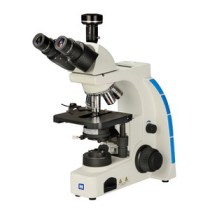Upright Biological Microscope