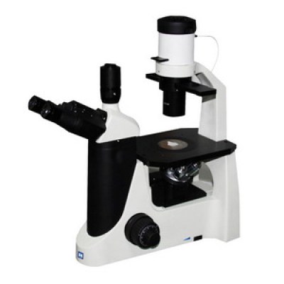 Inverted Biological Microscope