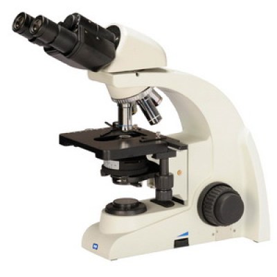 Upright Biological Microscope