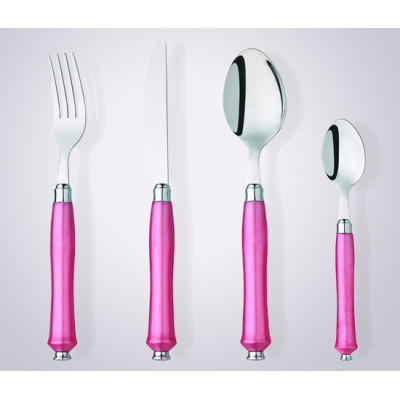 CS2005 hot selling plastic handle cutlery set