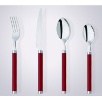 CS2006 promotional plastic handle cutlery set