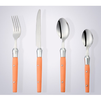 Stainless Steel Cultery with Plastic Handle for Good Online Shopping