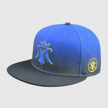 Snapback Hats with 3D Embroidery