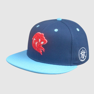 100% polyester 3D Embroidery snapback Hats/Caps